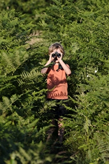 Young boy bird watching in meadow Norfolk summer Model released Young boy bird watching in meadow Norfolk summer Model released