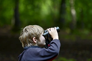 Young boy bird watching in woodland Norfolk summer Model released Young boy bird watching in woodland Norfolk summer Model released