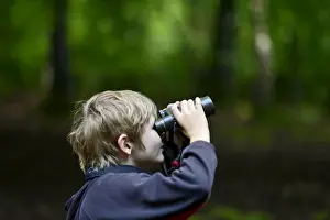 Birding Prints: Young boy bird watching in woodland Norfolk summer Model released
