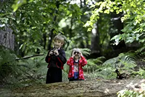 Young boy and girl )brother and sister) bird watching in woodland in summer Norfolk