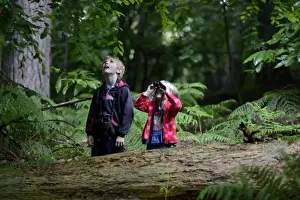 Young boy and girl )brother and sister) bird watching in woodland in summer Norfolk