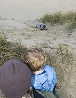 Young boy and mother looking at Grey Seal pup on Norfolk beach autumn