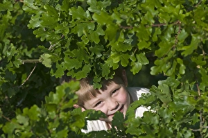 Children Prints: Young boy peeping through leaves Norfolk May