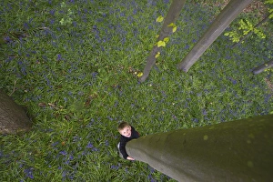 Young boy playing in Bluebell Wood Norfolk May