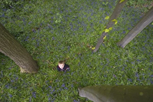 Child playing among Bluebells Norfolk May