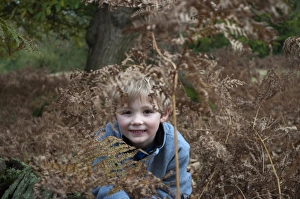 Autumn Prints: Young boy playing in woodland Kent autumn