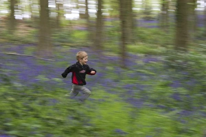 Young boy running through Bluebell Wood Norfolk May