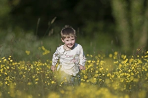 Children Prints: Young boy running through field of buttercups Norfolk May