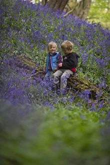Young children in Bluebell wood Norfolk May
