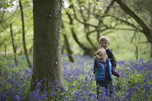 Young girl playing in Bluebell Wood Norfolk May