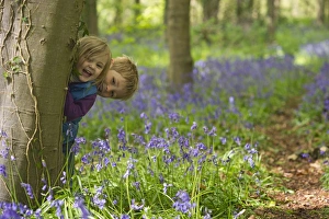 Young girl playing in Bluebell Wood Norfolk May