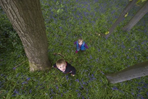 Young girl playing in Bluebell Wood Norfolk May
