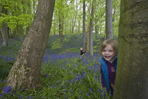 Child playing among Bluebells Norfolk May