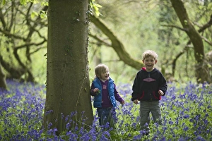 Child playing among Bluebells Norfolk May