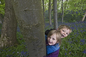 Child playing among Bluebells Norfolk May