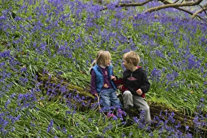 Child playing among Bluebells Norfolk May