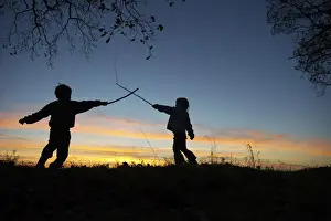 People Prints: Young children playing having a stick fight on edge of woodland at sunset Norfolk