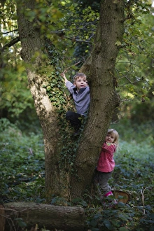 Young children playing in woodland in autumn Norfolk November Young children playing in woodland in autumn Norfolk November