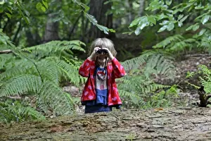 Summer Prints: Young girl bird watching in woodland in summer Norfolk Model Released