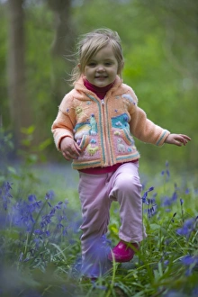 People Prints: Young girl in Bluebell Wood North Norfolk May UK