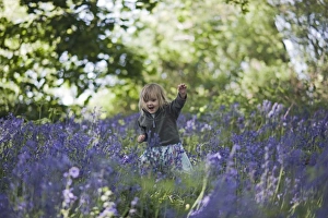 Children Prints: Young girl exploring in Bluebell Wood Norfolk May