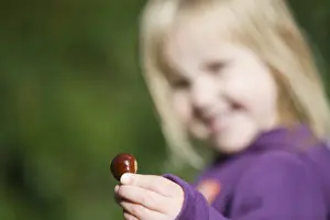 Autumn Prints: Young girl holding Sweet Chestnut in autumn Norfolk UK