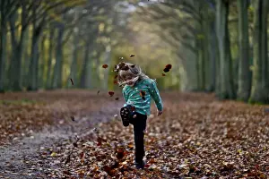 Autumn Prints: Young girl kicking fallen leaves in woodland Norfolk UK