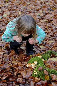 Autumn Prints: Young girl looking at fungi in autumn Norfolk