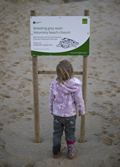 Young girl looking at seal information board at Winterton Dunes Norfolk December Young girl looking at seal information board at Winterton Dunes Norfolk December
