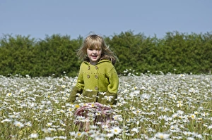 Plant Prints: Young girl in Ox-eye Daisy field Norfolk summer