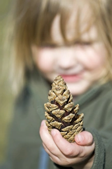 Young girl with pine cone Norfolk April