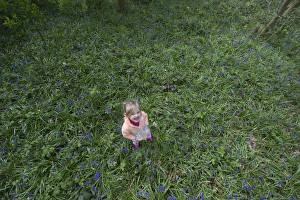 Child playing among Bluebells Norfolk May