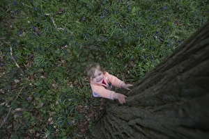 Child playing among Bluebells Norfolk May