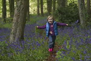 Trees Prints: young girl playing in Bluebell wood Norfolk spring