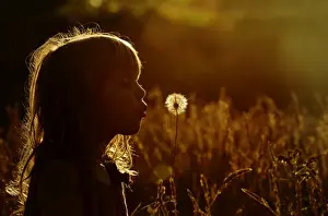 Summer Prints: Young girl playing in meadow in late summer Norfolk - Model Released