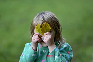 Young girl playing peek a boo with leaves in woodland Norfolk autumn Young girl playing peek a boo with leaves in woodland Norfolk autumn