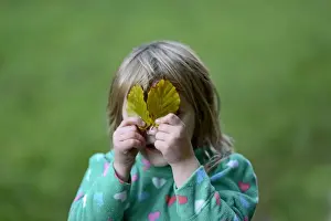 Autumn Prints: Young girl playing peek a boo with leaves in woodland Norfolk autumn