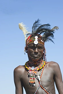 Young Masai man wearing Ostrich feathers signifying recent circumsision Samburu Kenya Young Masai man wearing Ostrich feathers signifying recent circumsision Samburu Kenya