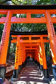 Fushimi Inari shrine red torii gate tunnel in Kyoto, Japan